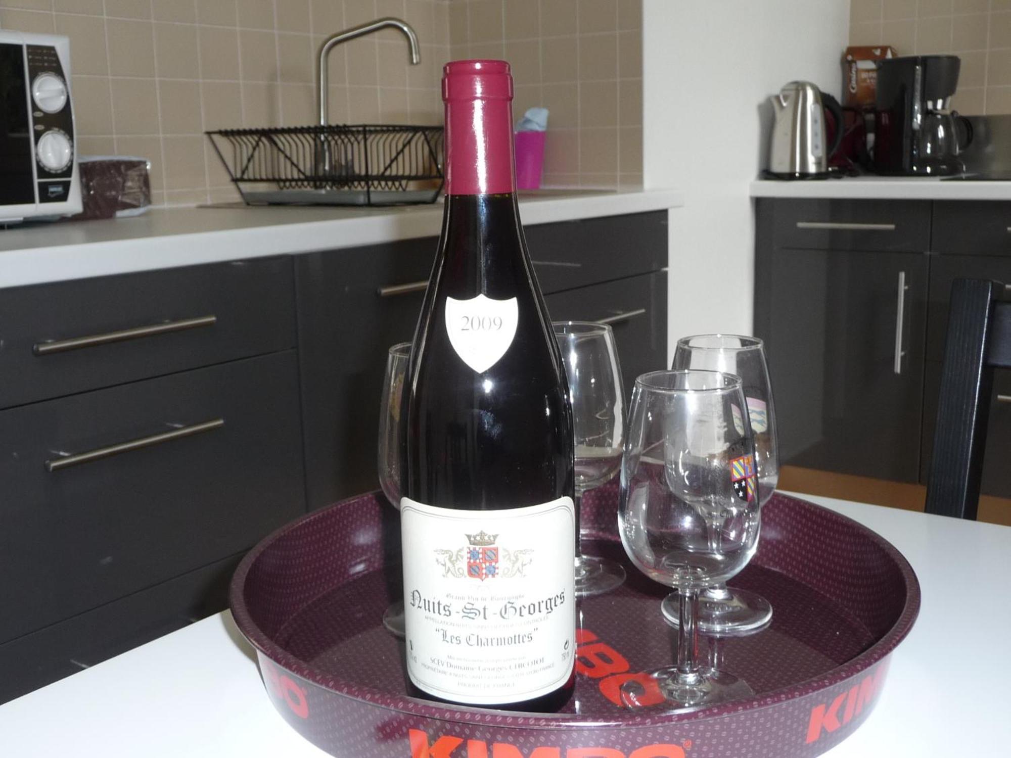 Les Charmottes Apartment Nuits-Saint-Georges Ngoại thất bức ảnh